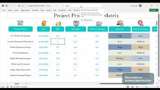 Project Prioritization Matrix [upl. by Eesac269]