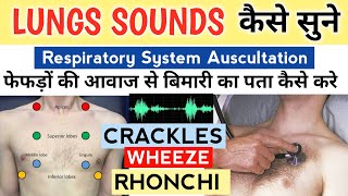 Lungs sound explained in Hindi  Normal amp Abnormal  wheeze Rhonchi Rub crackles use headphones [upl. by Nork]