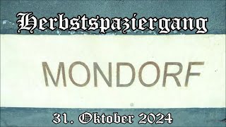 Niederkassel Mondorf Herbstspaziergang 31 Oktober 2024 [upl. by Sufur89]