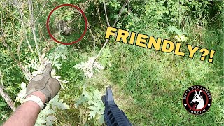 Dirty Dog Airsoft Gameplay  August 2024 [upl. by Sarah]