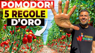 Rispetta queste 5 REGOLE Avrai FRUTTI GRANDI e PIU’ POMODORI 🌱🍅 [upl. by Anitsuj]