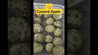 Aaiye Custard Apple khaye 😍😋Healthy Fruit 👌😍 Tasty Fruit 🍺👌👌😍😍😋😋 [upl. by Strenta]