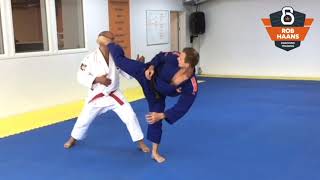 Ushiro Mawashi Geri Back Leg [upl. by Adnilym34]