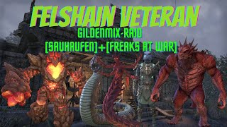 The Elder Scrolls Online  ESO  Felshain Veteran vRG GildenmixRaid SAUHAUFENFreaks at war [upl. by Nosiaj]