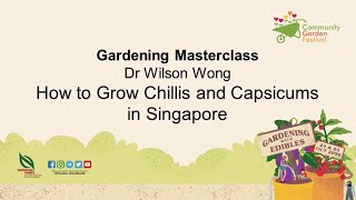 Gardening Masterclass How To Grow Chillis And Capsicums  Community Garden Festival 2020 [upl. by Elleira388]