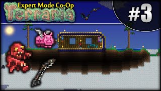 Terraria Expert Mode CoOp 13 Episode 3  Floating Island [upl. by Ojyllek498]