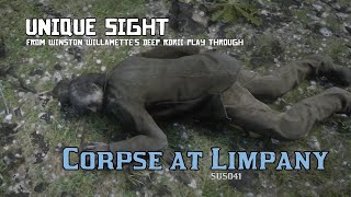 Corpse at Limpany  Unique Sight RDRII [upl. by Shiroma]