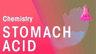 Stomach Acid  Acids Bases amp Alkalis  Chemistry  FuseSchool [upl. by Hurlow]