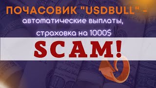 Почасовик quotUSDbullquot  автоматические выплаты страховка на 1000 [upl. by Hartzel]