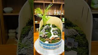 Every piece of life big and small life can be colourful and beautiful small terrarium [upl. by Campos]