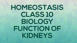 HOMEOSTASIS BIOLOGY CLASS 1O FUNCTION OF KIDNEY [upl. by Serra]