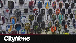 Pickleball paddle thefts reported across GTA [upl. by Gebelein3]