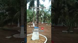 Farm land sale farmland lowbudget coimbatore tredingshorts coconutfarm  viral [upl. by Quennie158]