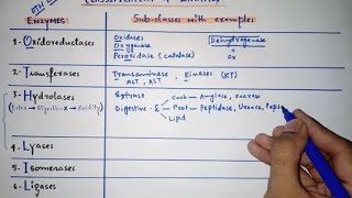 Enzyme classification with subclasses amp examples  Only in 5 minutes  Mnemonics [upl. by Ahsile]