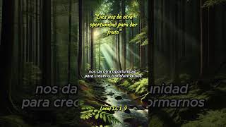 🙏Dios nos da otra oportunidad para dar fruto🙏 palabradevida mensaje frases reflexion amor [upl. by Fennell784]