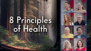 8 Principles of Health  Dennis Porter amp Others [upl. by Ajnotal]