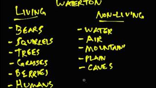 Science 7  Unit 1  Interactions and Ecosystems  Introduction [upl. by Norita]