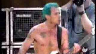 Red Hot Chili Peppers  Easily live  Woodstock 99 [upl. by Biddle]