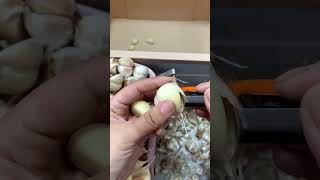 Quickly peel garlic satisfying [upl. by Thorbert297]