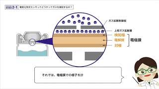 【フィガロ技研】電気化学式センサってどうやってガスを検知するの？（燃料電池式の場合） [upl. by Didi]