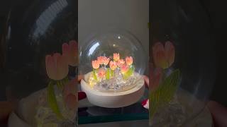 Random Meesho Finds Tulip Lamp Under Rs 500 🌷🤯 meeshofinds meesho tuliplamp [upl. by Porush]