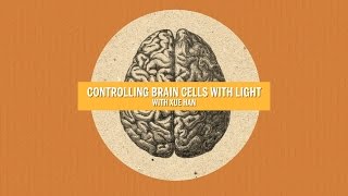 Controlling Brain Cells with Light [upl. by Aruat]