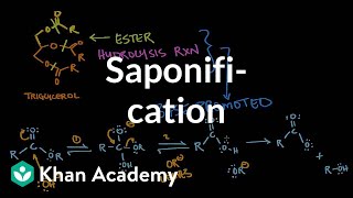 Saponification  Base promoted ester hydrolysis  MCAT  Khan Academy [upl. by Stryker]