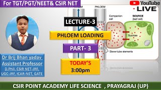 Phloem Loading and Unloading Mechanism  Allocation of Resources  Plant Physiology  CSIRNET JRF [upl. by Uriah868]