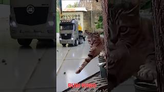 KUCING KAGET TRUK TRAILER RC LEWAT [upl. by Enihpets73]