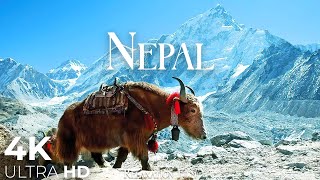 NEPAL4K  Scenic Relaxation Film with Peaceful Relaxing Music and Nature Video Ultra HD [upl. by Ynattyrb575]