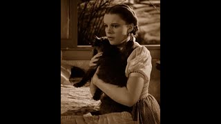 Dorothy Runs Away To Save Toto  Wizard Of Oz Comedy Recap [upl. by Tnert836]