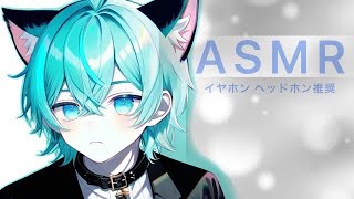 ASMR綿棒耳かき [upl. by Fachini]