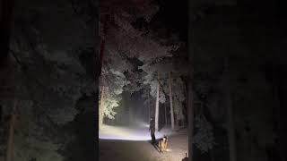 OLIGHT X9R  TESTIVIDEO [upl. by Lurleen922]