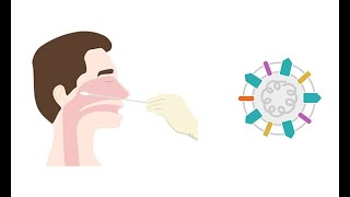 Describing antigen testing for COVID 19 [upl. by Riella]