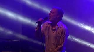 Baxter Dury  Im not your Dog  Live  Maifeld Derby Mannheim  062023 [upl. by Merari194]