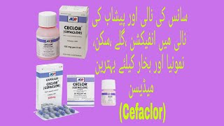 Ceclor TabletampSyrupampDrops CefaclorUses Benefits ampSideeffect in UrduHindi  How to use Cefaclor [upl. by Annocahs832]