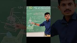 Microscope Structure explained clinicalcareinsights microbiology microscope electronmicroscope [upl. by Pazice636]