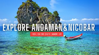 Andaman and Nicobar Islands  The Hidden TreasureBeautiful Islands in India [upl. by Orest160]