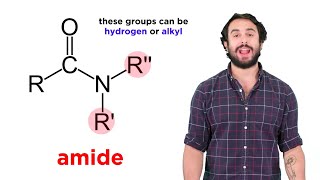 Properties of Amides [upl. by Annaigroeg764]