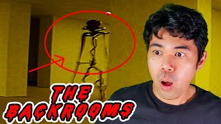 Sobrang Nakakatakot sa BACKROOMS  Backrooms FOUND FOOTAGE REACTION [upl. by Nylatsirhc591]