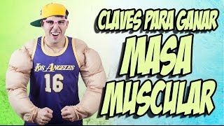 Cómo GANAR MASA MUSCULAR 💪 3 PILARES BÁSICOS para coger MÚSCULO Y VOLUMEN [upl. by Beare549]