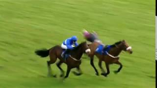 Horseracing thrills amp spills compilation [upl. by Noiroc607]