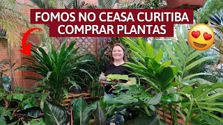 Plantinha no Ceasa Curitiba [upl. by Nit]