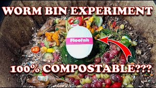 Can Compost Worms Handle a Floofah Testing a Loofah Sponge in My Worm Bin  Vermicompost Worm Farm [upl. by Sessylu]