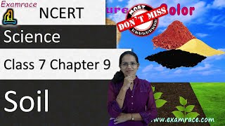 NCERT Class 7 Science Chapter 9 Soil NSONSTSE  English  CBSE [upl. by Aryad]