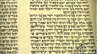 Torah reading Parasha Beshalach Rabbi Weisblum קריאת התורה פרשת בשלח [upl. by Eindys909]