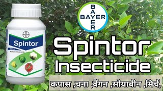 Spintor Insecticide  Bayer  Spinosad 45Sc [upl. by Gillespie91]