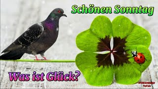 Einen schönen Sonntag wünsche ich dir 🕊 [upl. by Civ628]