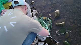 big fish Panguitch Lake Utahwesternstatesoutdoors3962 [upl. by Kcirred]