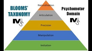 Blooms Taxonomy Psychomotor Domain  Simplest Explanation Ever [upl. by Anivram485]